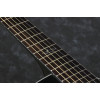 Ibanez EP5-BP Steve Vai Signature Acoustic Guitar 6-String - Black Pearl