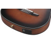 Ibanez FRH10N-BSF FRH Nylon String Guitar 6-String - Brown Sunburst Flat