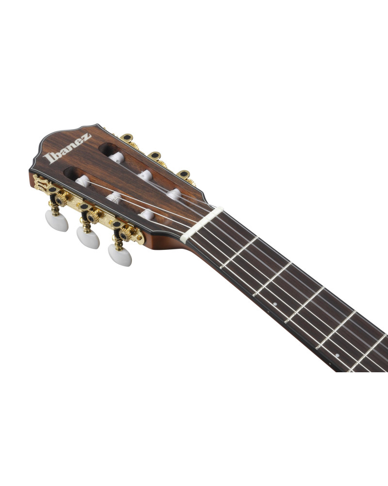 Ibanez FRH10N-BSF FRH Nylon String Guitar 6-String - Brown Sunburst Flat
