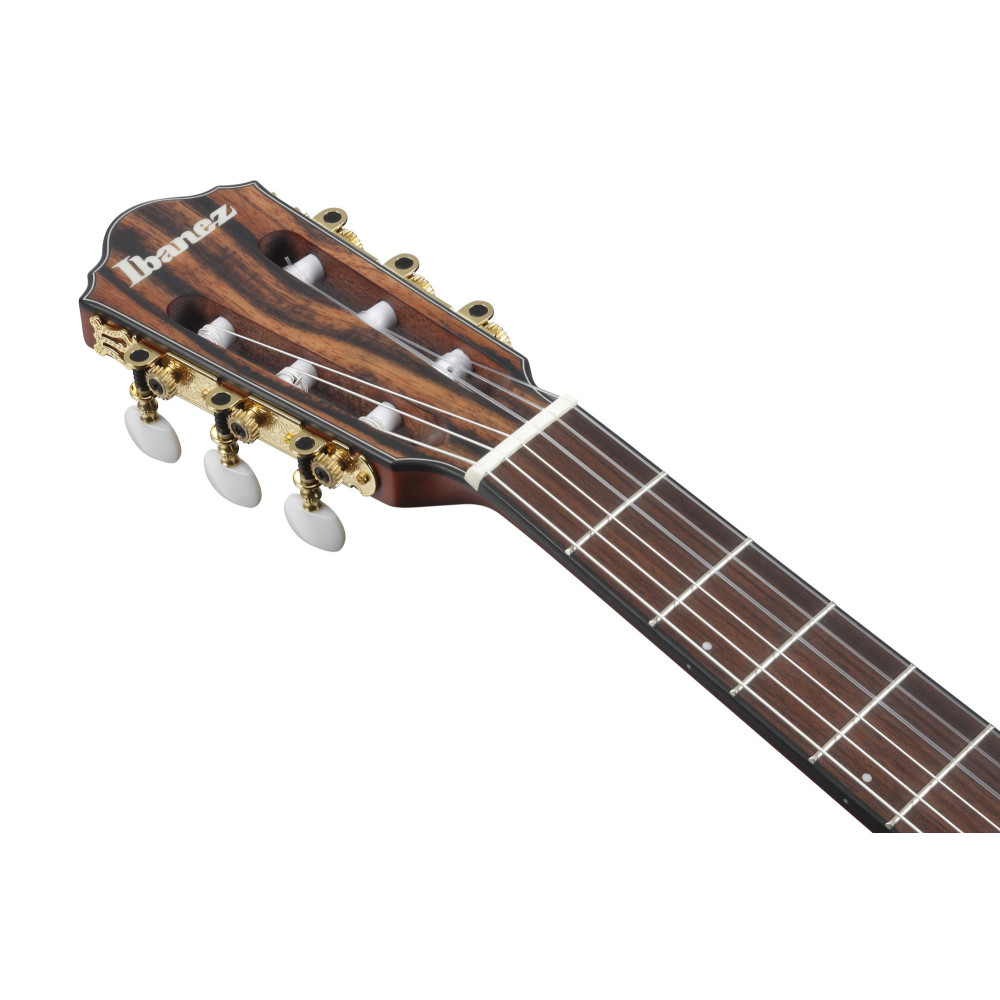 Ibanez FRH10N-IBF FRH Nylon String Guitar 6-String - Indigo Blue Metallic