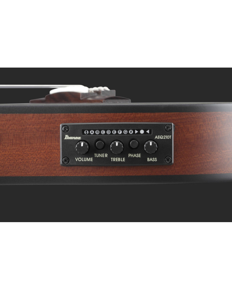 Ibanez FRH10N-IBF FRH Nylon String Guitar 6-String - Indigo Blue Metallic