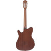 Ibanez FRH10N-NTF FRH Nylon String Guitar 6-String - Natural Flat