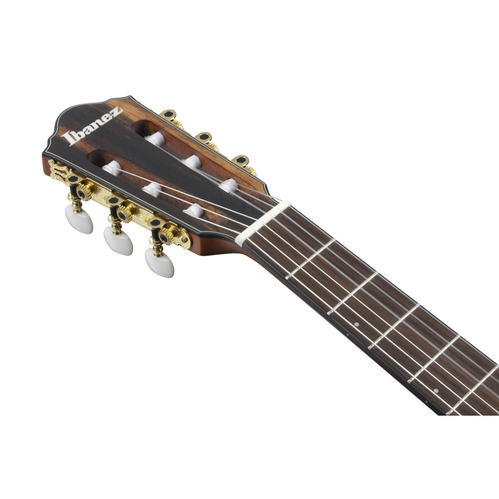 Ibanez FRH10N-NTF FRH Nylon String Guitar 6-String - Natural Flat