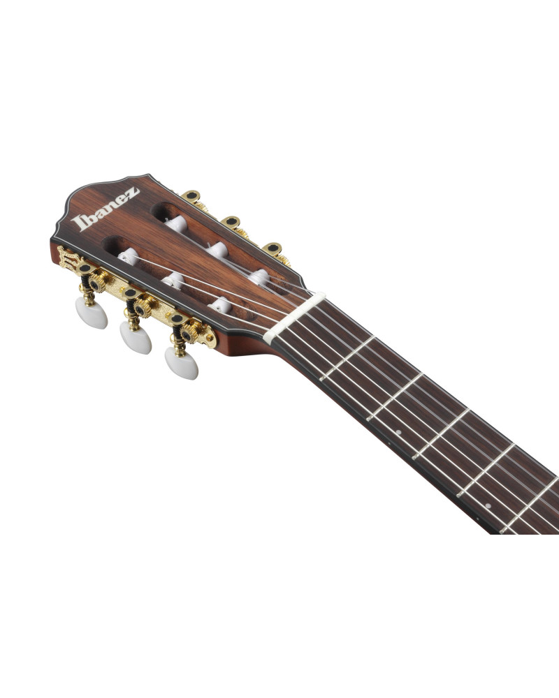 Ibanez FRH10N-RGF FRH Nylon String Guitar 6-String - Rose Gold Metallic Flat