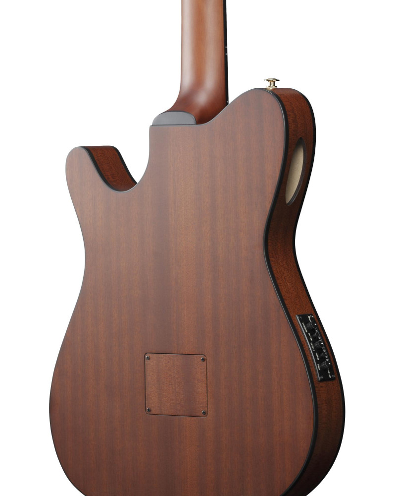 Ibanez FRH10N-RGF FRH Nylon String Guitar 6-String - Rose Gold Metallic Flat