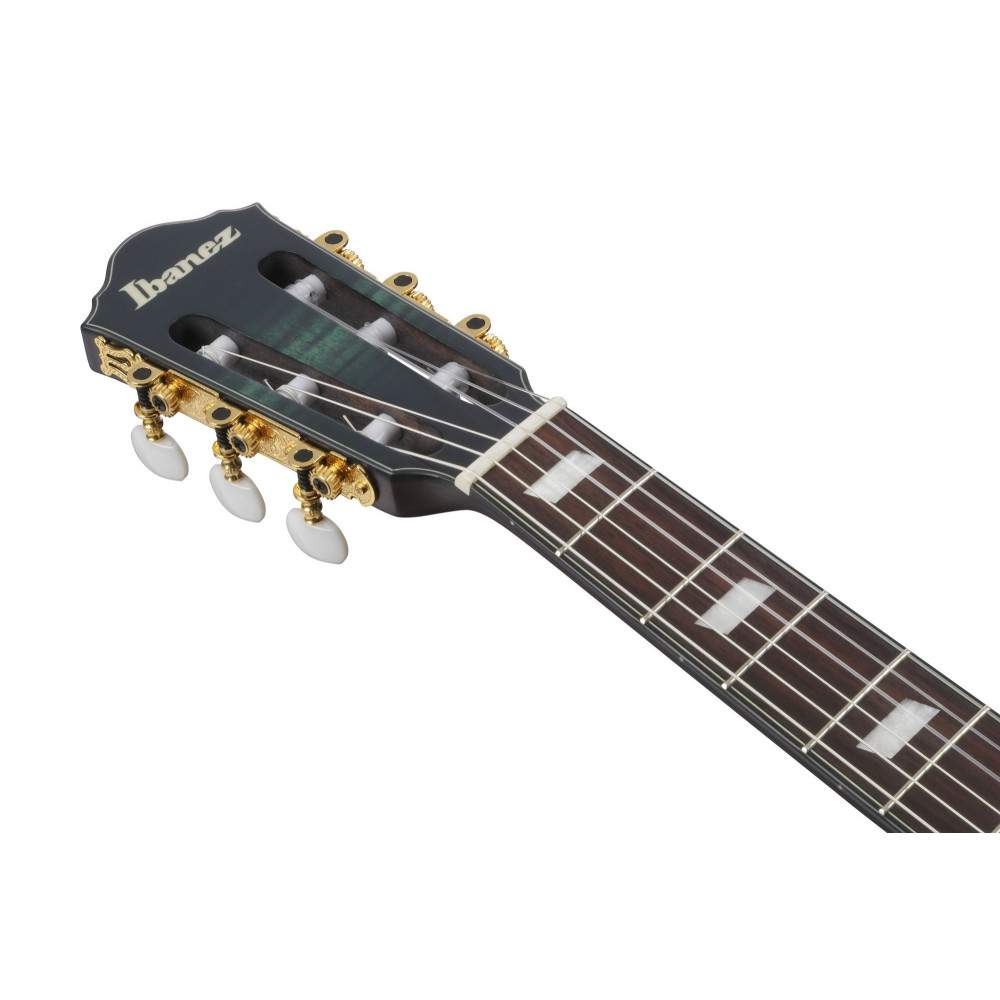 Ibanez FRH20FMN-DGL FRH Nylon String Guitar 6-String - Deep Emerald Green Low Gloss