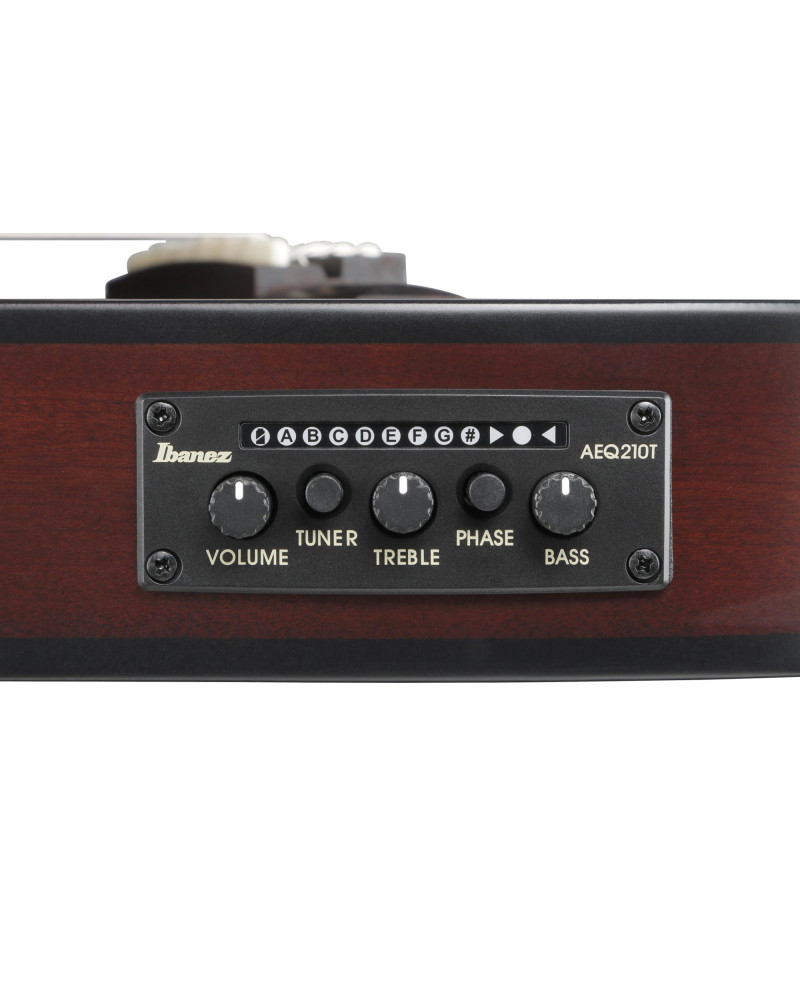 Ibanez FRH20QMN-WRL FRH Nylon String Guitar 6-String - Wine Red Low Gloss