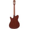 Ibanez FRH20SMN-TCL FRH Nylon String Guitar 6-String - Tobacco Burst Low Gloss