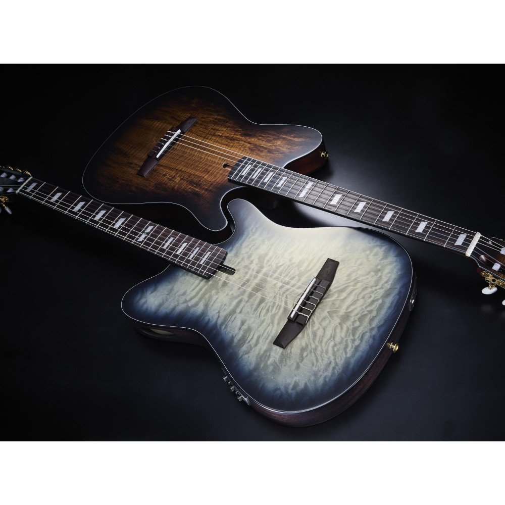 Ibanez FRH20SMN-TCL FRH Nylon String Guitar 6-String - Tobacco Burst Low Gloss
