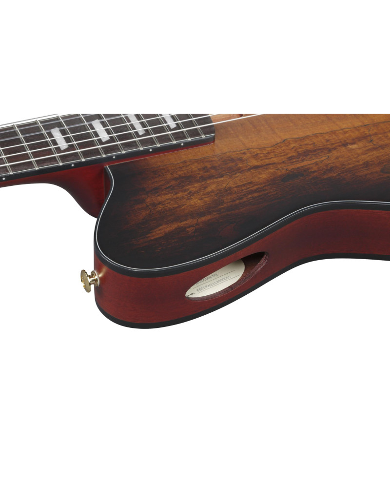 Ibanez FRH20SMN-TCL FRH Nylon String Guitar 6-String - Tobacco Burst Low Gloss