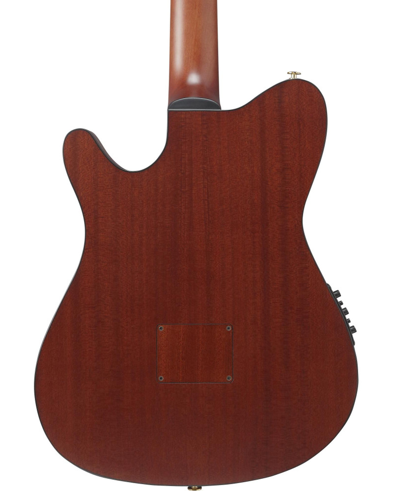 Ibanez FRH20SMN-TCL FRH Nylon String Guitar 6-String - Tobacco Burst Low Gloss