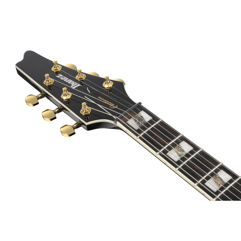 Ibanez FRM350-BK Paul Gilbert Signature Electric Guitar 6-String - Black + Gig Bag