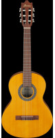 Ibanez GA2-OAM GA Classical Guitar 6-String 3/4 Body - Open Pore Amber