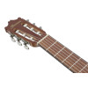 Ibanez GA3ECE-OAM GA Classical Guitar 6-String - Open Pore Amber
