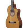 Ibanez GA5TCE3Q-AM GA Classical Guitar 6-String 3/4 Thinline Body - Amber High Gloss