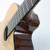 Ibanez GA6CE-AM GA Classical Guitar 6-String - Amber High Gloss