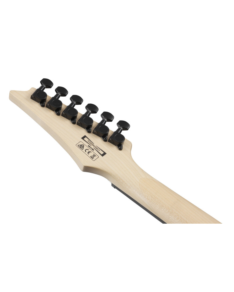 Ibanez GRG120QASPBGD GIO GRG Electric Guitar 6-String - Blue Gradation