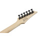 Ibanez GRGR221PA-AQB GIO GRGR Electric Guitar 6-String - Aqua Burst