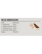 Ibanez GSR200SM-NGT GIO SR Electric Bass 4-String - Natural Gray Burst