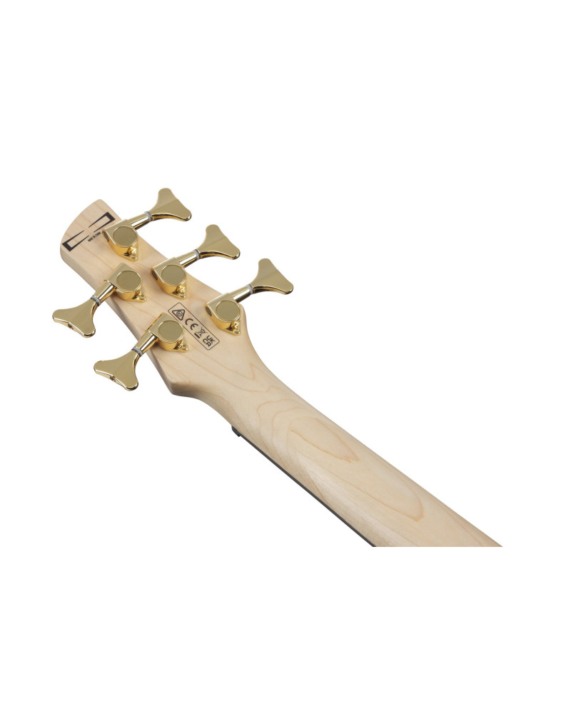 Ibanez GSR205PC-TMU GIO SR Electric Bass 5-String - Transparent Marine Burst