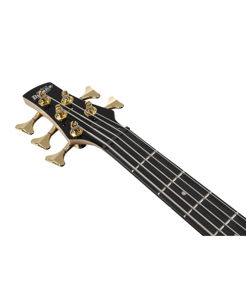 Ibanez GSR205PC-TMU GIO SR Electric Bass 5-String - Transparent Marine Burst