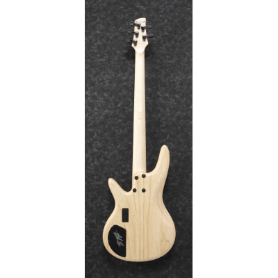 Ibanez GWB1005-NTF Gary Willis Signature Electric Bass 5-String Fretless - Natural Flat + Case M20SR