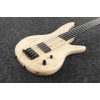 Ibanez GWB1005-NTF Gary Willis Signature Electric Bass 5-String Fretless - Natural Flat + Case M20SR
