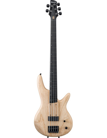 Ibanez GWB1005-NTF Gary Willis Signature Electric Bass 5-String Fretless - Natural Flat + Case M20SR
