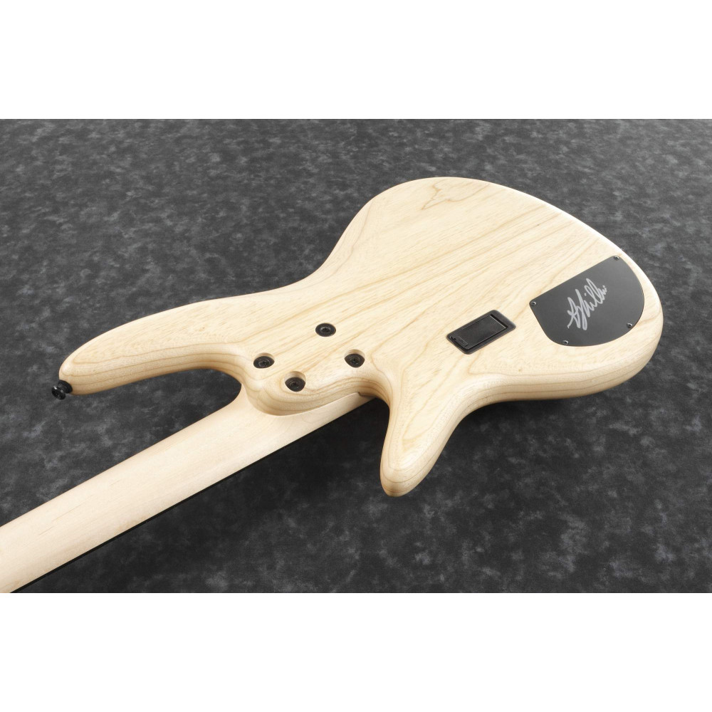 Ibanez GWB1005-NTF Gary Willis Signature Electric Bass 5-String Fretless - Natural Flat + Case M20SR