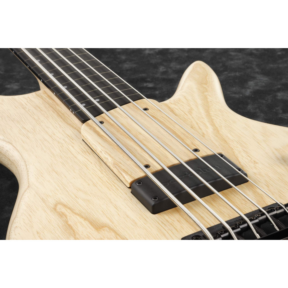 Ibanez GWB1005-NTF Gary Willis Signature Electric Bass 5-String Fretless - Natural Flat + Case M20SR
