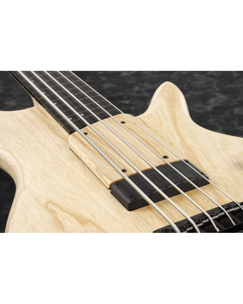 Ibanez GWB1005-NTF Gary Willis Signature Electric Bass 5-String Fretless - Natural Flat + Case M20SR