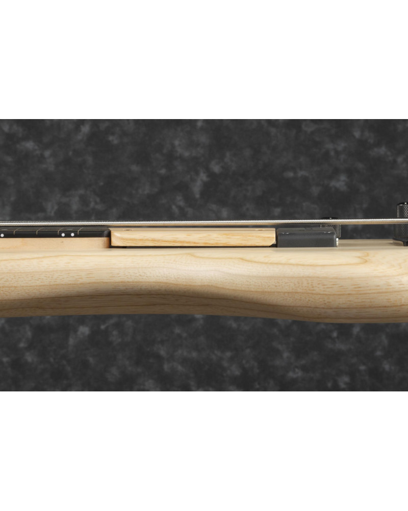 Ibanez GWB1005-NTF Gary Willis Signature Electric Bass 5-String Fretless - Natural Flat + Case M20SR