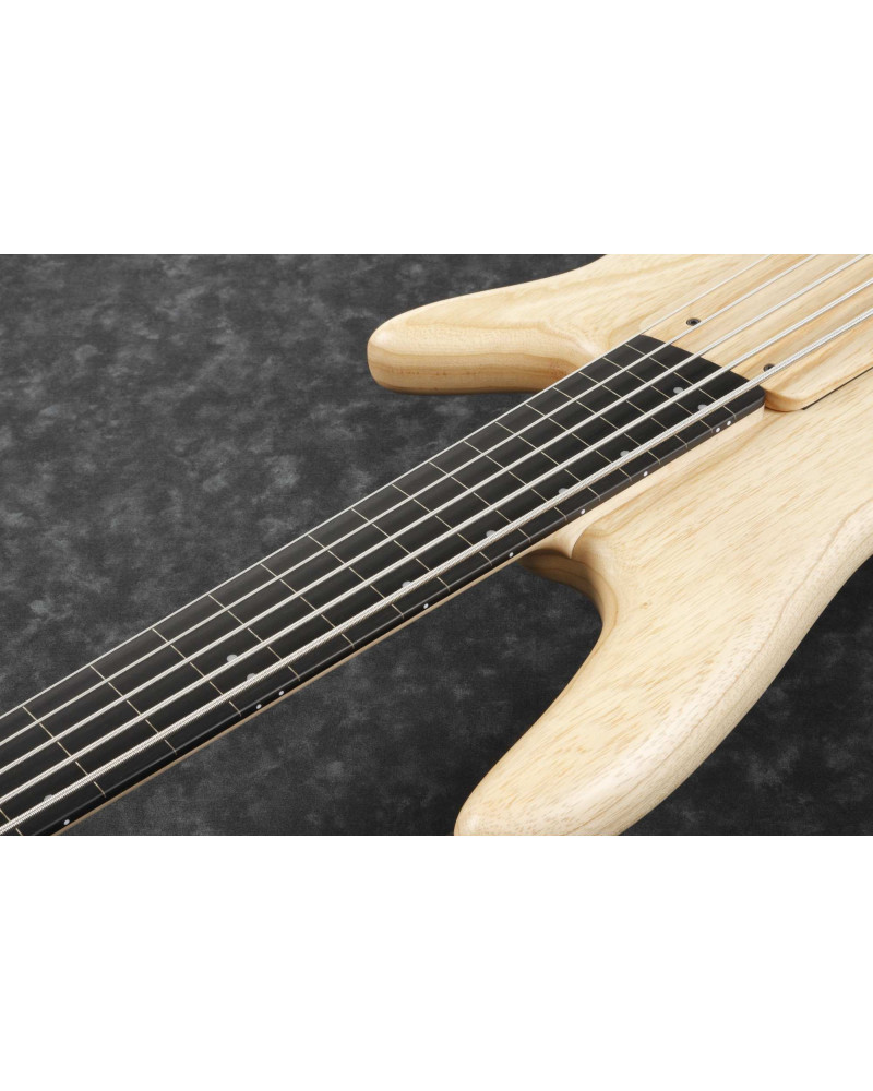 Ibanez GWB1005-NTF Gary Willis Signature Electric Bass 5-String Fretless - Natural Flat + Case M20SR