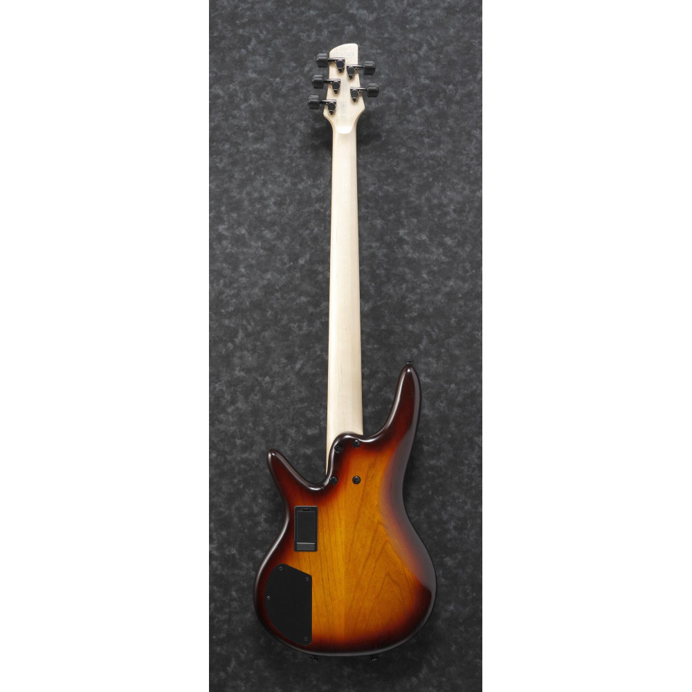 Ibanez GWB205-TQF Garry Willis Signature Electric Bass 5-String Fretless - Tequila Sunrise Flat + Gig Bag