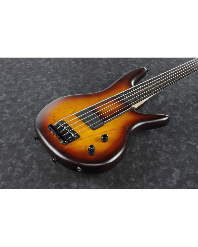 Ibanez GWB205-TQF Garry Willis Signature Electric Bass 5-String Fretless - Tequila Sunrise Flat + Gig Bag