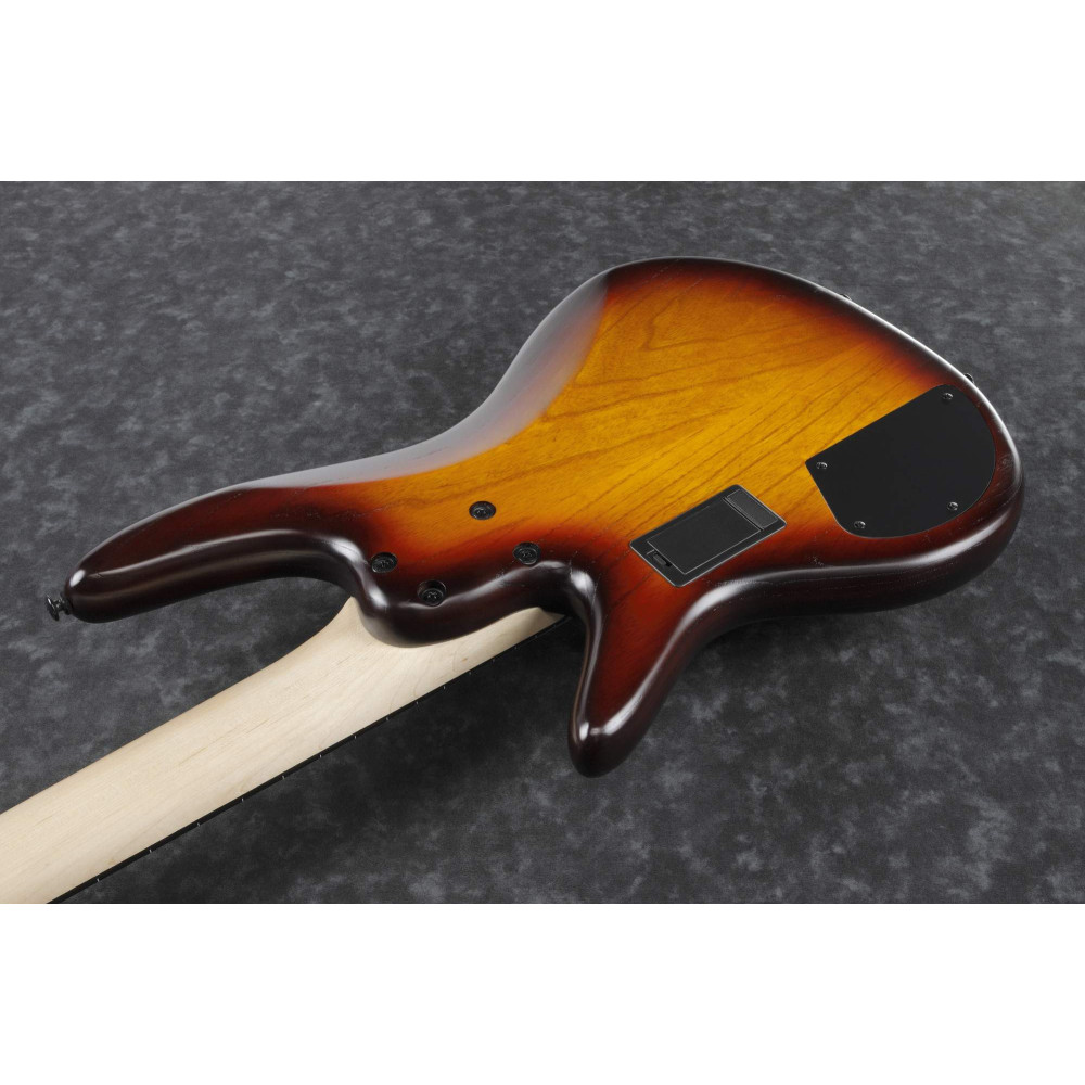 Ibanez GWB205-TQF Garry Willis Signature Electric Bass 5-String Fretless - Tequila Sunrise Flat + Gig Bag