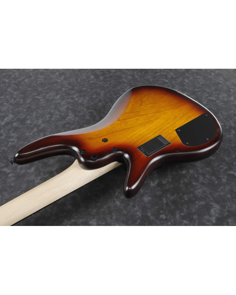 Ibanez GWB205-TQF Garry Willis Signature Electric Bass 5-String Fretless - Tequila Sunrise Flat + Gig Bag