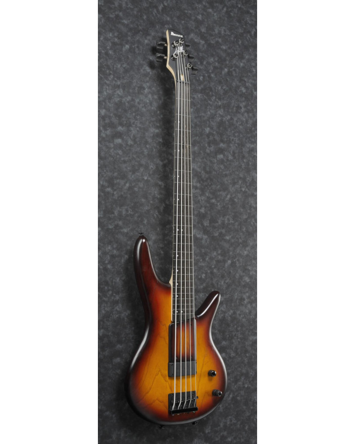 Ibanez GWB205-TQF Garry Willis Signature Electric Bass 5-String Fretless - Tequila Sunrise Flat + Gig Bag