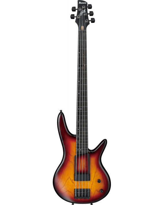 Ibanez GWB205-TQF Garry Willis Signature Electric Bass 5-String Fretless - Tequila Sunrise Flat + Gig Bag