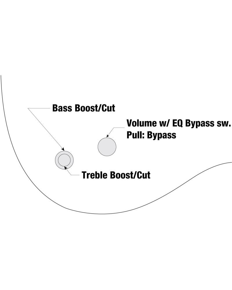 Ibanez GWB205-TQF Garry Willis Signature Electric Bass 5-String Fretless - Tequila Sunrise Flat + Gig Bag