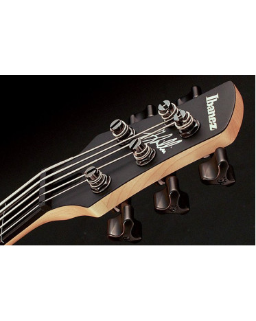 Ibanez GWB35-BKF Gary Willis Signature Electric Bass 5-String Fretless - Black Flat