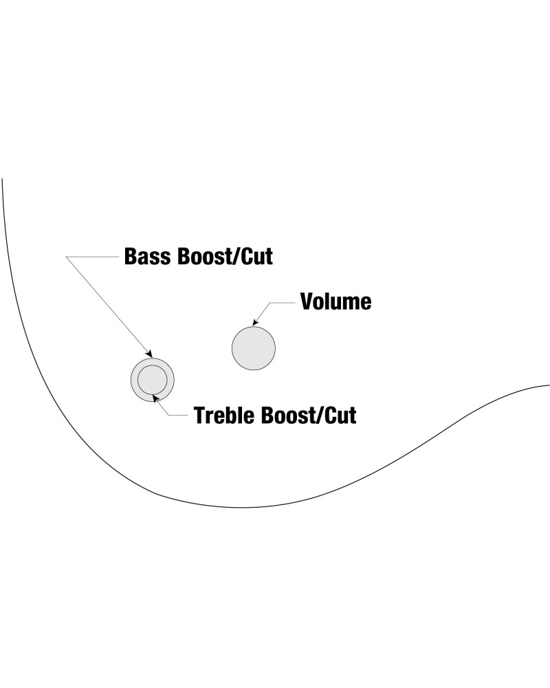 Ibanez GWB35-BKF Gary Willis Signature Electric Bass 5-String Fretless - Black Flat