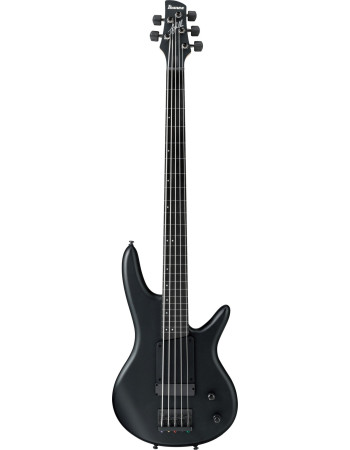 Ibanez GWB35-BKF Gary Willis Signature Electric Bass 5-String Fretless - Black Flat