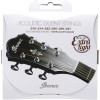 Ibanez IACS61C String Set for 6 String Acoustic Guitar - Extra Light