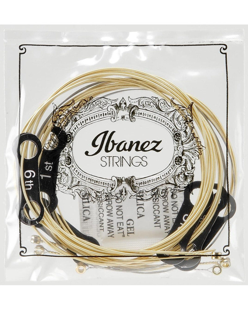 Ibanez IACS61C String Set for 6 String Acoustic Guitar - Extra Light