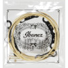 Ibanez IACS6C String Set for 6 String Acoustic Guitar - Light