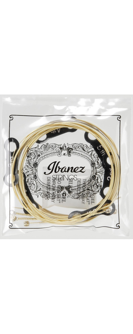 Ibanez IACS6C String Set for 6 String Acoustic Guitar - Light