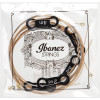 Ibanez IACSP61C String Set for 6 String Acoustic Guitar - Extra Light