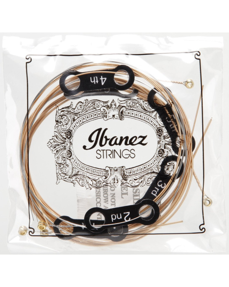 Ibanez IACSP61C String Set for 6 String Acoustic Guitar - Extra Light