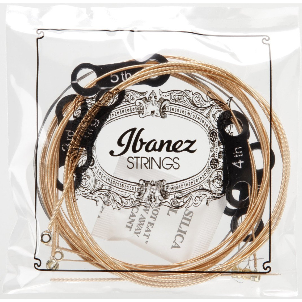 Ibanez IACSP62C String Set for 6 String Acoustic Guitar - Custom Light
